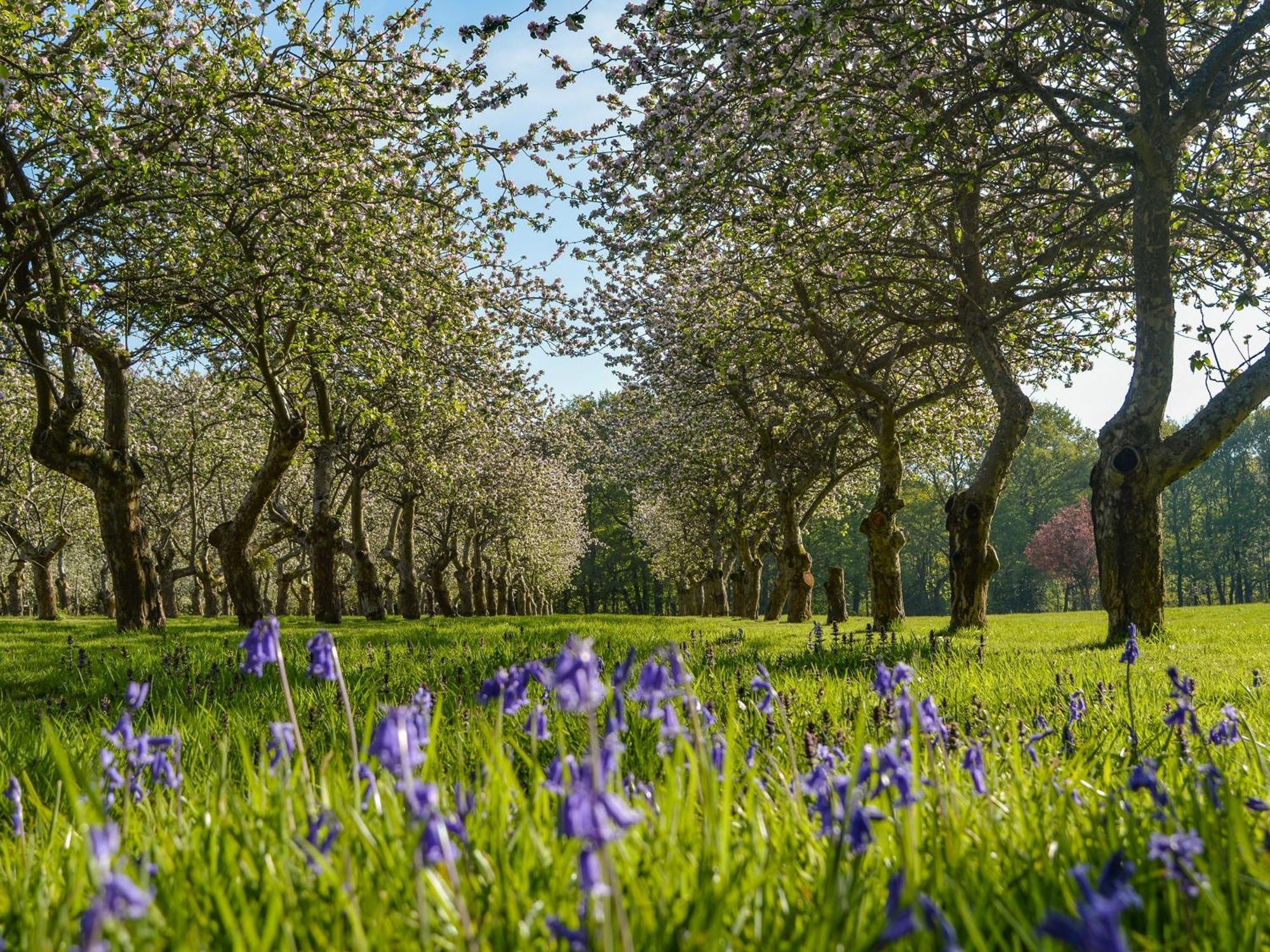 Deer Cottage 2 Uk39332 Biddenden エクステリア 写真